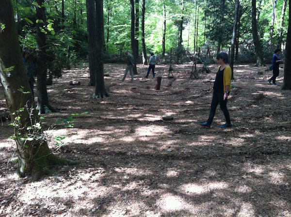 Onder de groene hemel van Apeldoorn