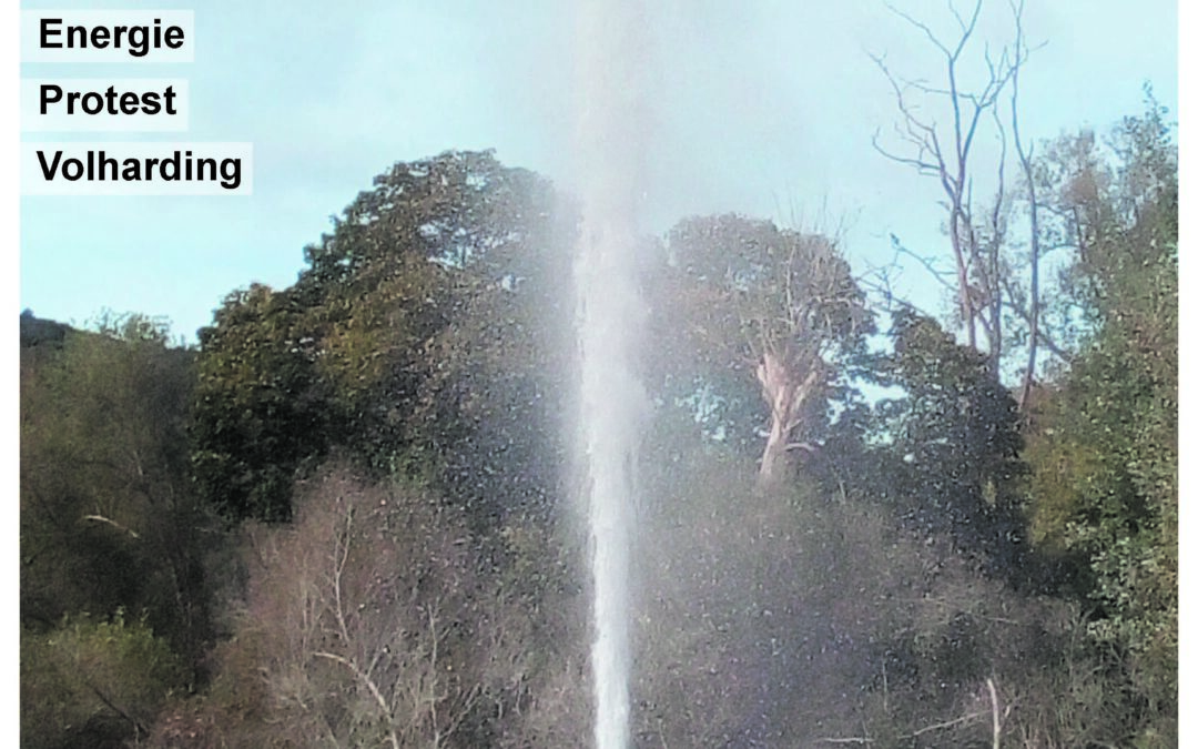 Voorkant van Wijs nr 5 2025 - ontspringen